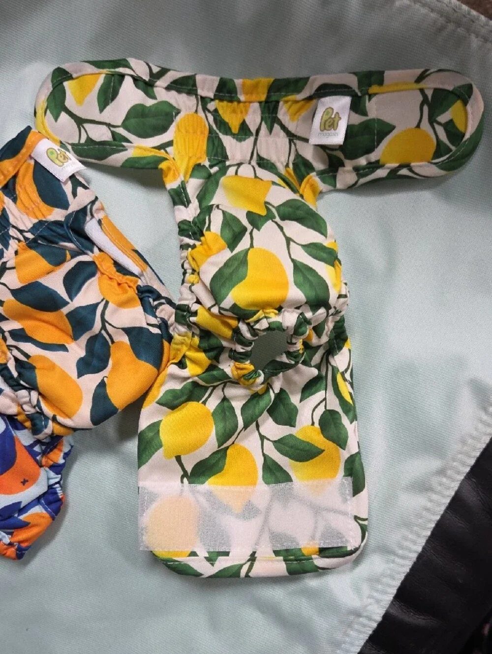 Pet Magasin Lemon Print Dog Diaper - Yellow & Green